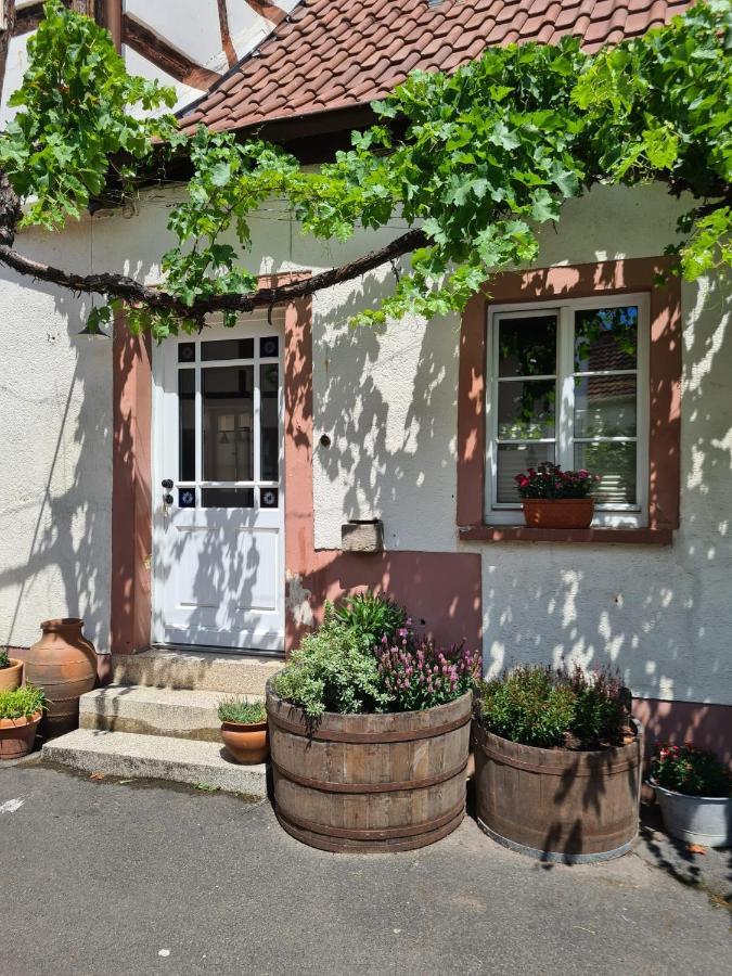 Schoene Ferienwohnung Mit Kamin Neustadt an der Weinstraße Εξωτερικό φωτογραφία